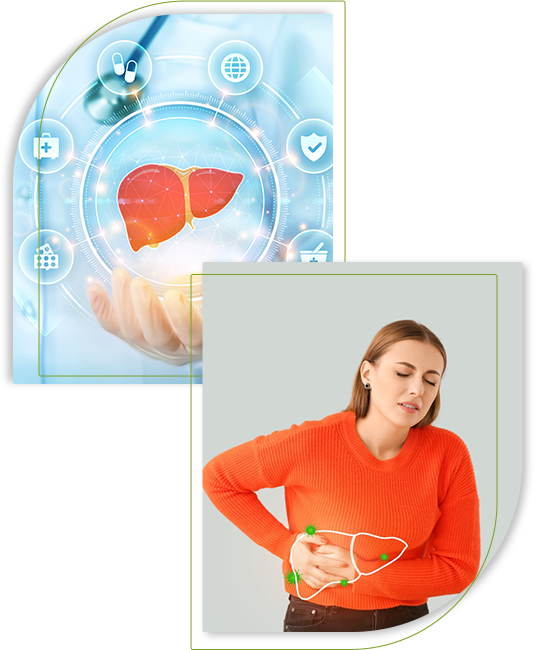 Liver Health